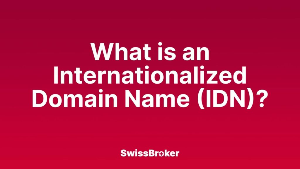 A Beginner's Guide to Understanding Internationalized Domain Names (IDNs)